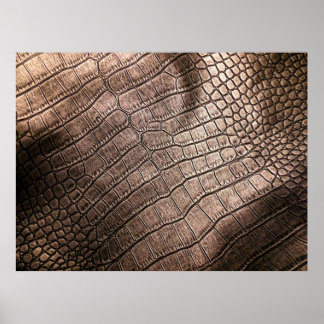 Elegant leather pattern close up. poster