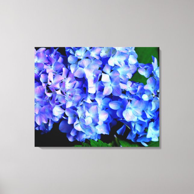 Elegant light purple blue magenta floral hydrangea canvas print (Front)