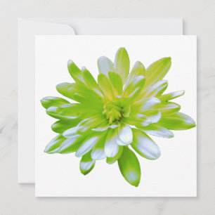 Elegant light soft green floral flower invitation