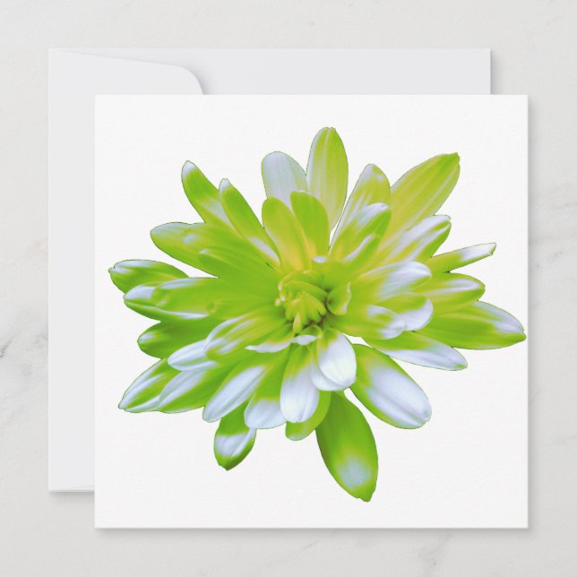Elegant light soft green floral flower  invitation (Front)