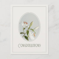Elegant lilly vintage Congratulations