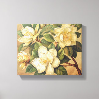 Elegant Magnolia Blossoms Wall Art