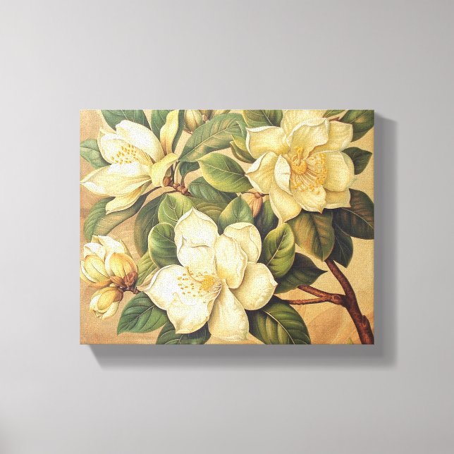 Elegant Magnolia Blossoms Wall Art (Front)