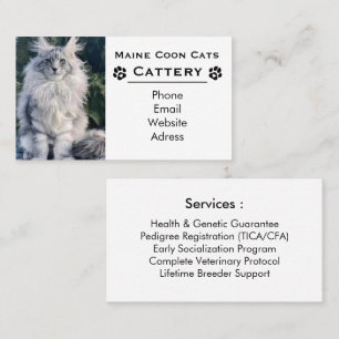 Elegant Maine Coon Cattery & Professional Breeder  Business Card
