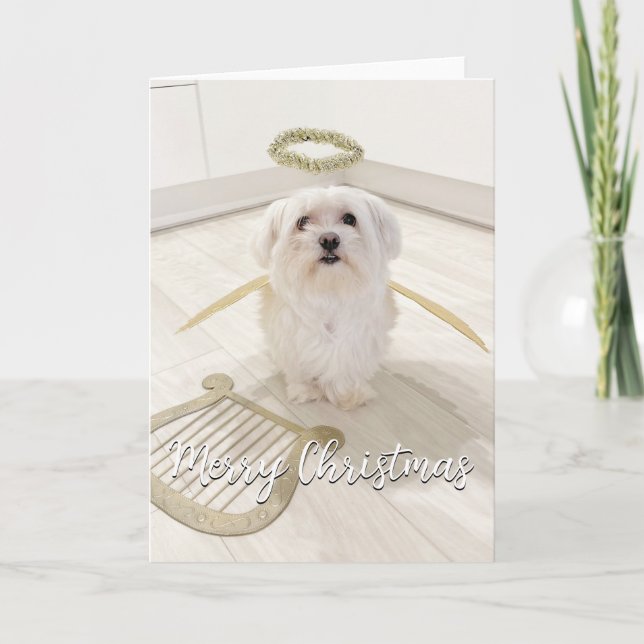 Elegant Maltese Dog Angel Christmas Card (Front)
