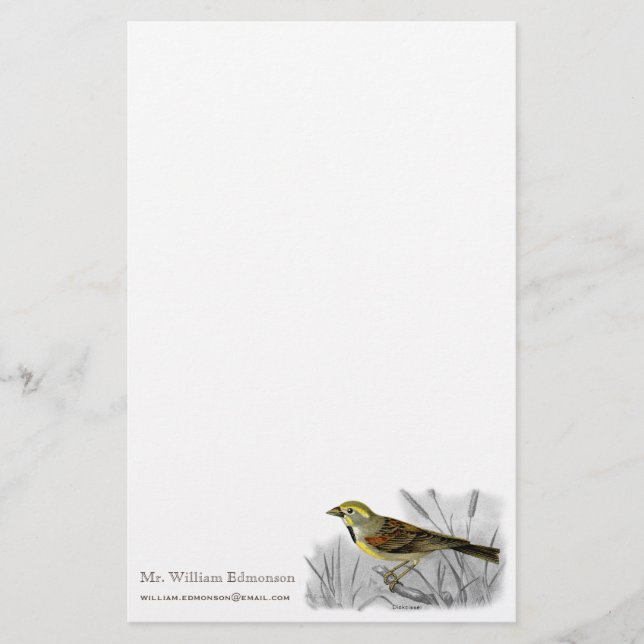 Elegant Masculine Yellow Bird Audubon Stationery (Front)