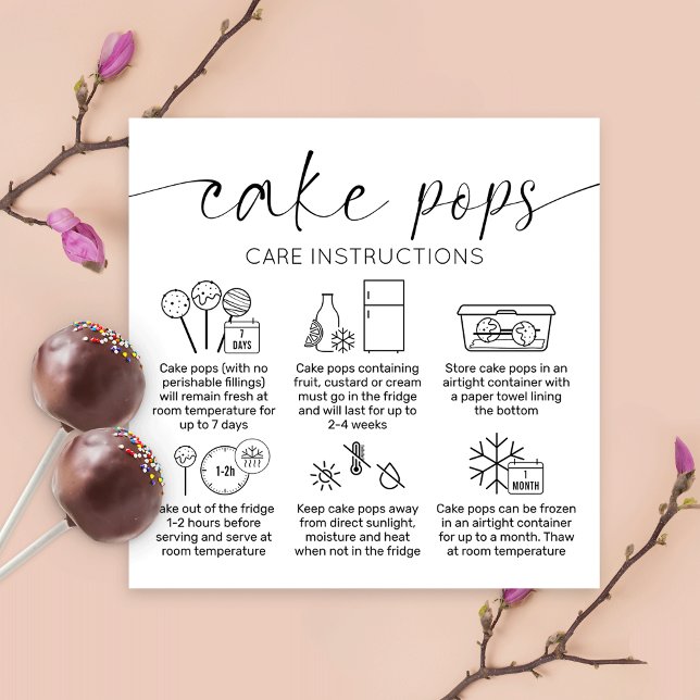 Elegant Minimal Cake Pops Care Instructions Cards (Creator Uploaded)