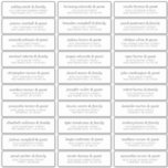 Elegant Modern Chic Wedding Guest Names Address<br><div class="desc">Composed of simple sans serif and modern serif typography. These elements are simple,  elegant,  and modern. This has 30 stickers. 
 
 This is designed by White Paper Birch Co. exclusive for Zazzle.
 
 Available here:
 http://www.zazzle.com/store/whitepaperbirch</div>