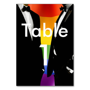 Elegant Modern Gay Men Wedding Rainbow Table Number