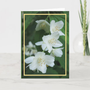 Elegant Modern Jasmine Flowers Photo Golden Frame Card