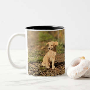 Elegant Modern mugs for kids birthday pet cute dog