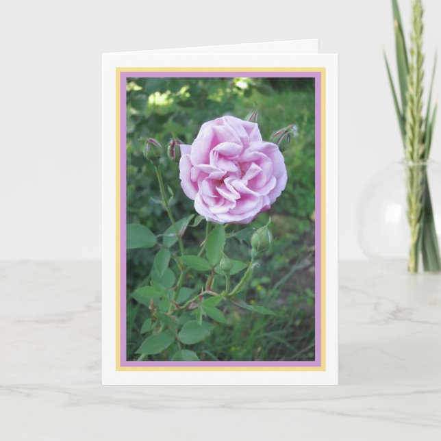 Elegant Modern Pink Purple Rose Photo Gold Frame Card (Front)