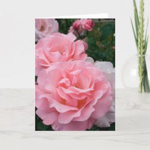 Elegant Modern Pink Roses Flowers Photo Get Well Card