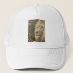 Elegant Modern Pop Art Lion Head Template Trucker Hat<br><div class="desc">Elegant Modern Pop Art Lion Head Template Add Image Logo Photo Basic Trucker Hat.</div>