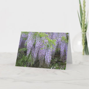 Elegant Modern Purple Wisteria Flowers Get Well Card