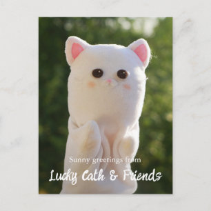 Elegant Modern Simple Personalised Photo Postcard
