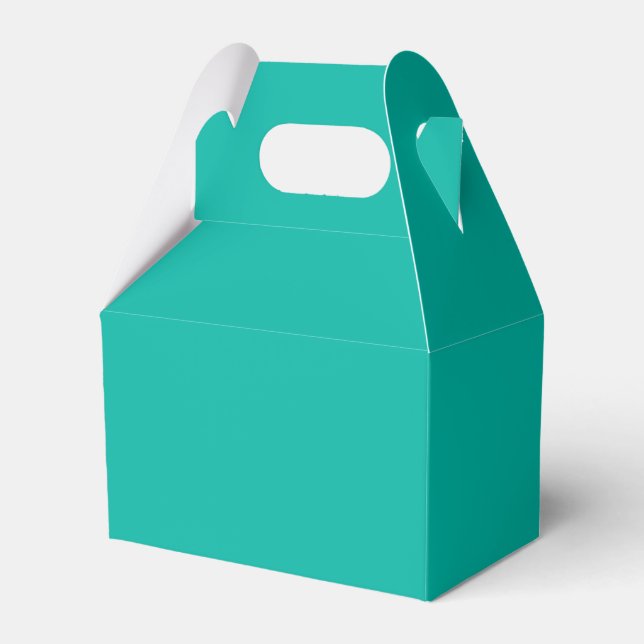 Elegant Modern Template Light Teal Solid Colour Favour Box (Front Side)