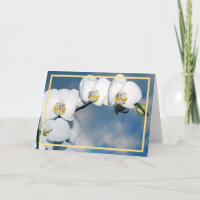 Elegant Modern White Orchids Flowers Golden Frame