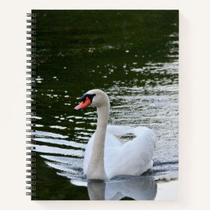 Elegant Mute Swan Notebook