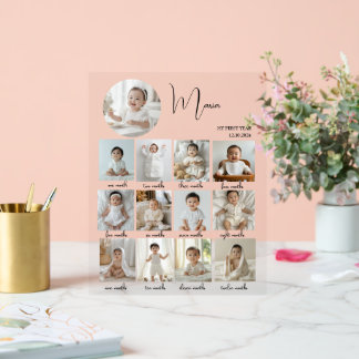 Elegant My First Year Collage Custom Photo Acrylic Sign