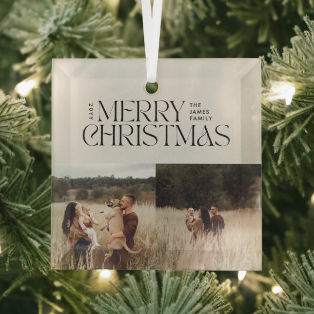 Elegant natural foliage modern minimal multi photo glass tree decoration (Insitu)