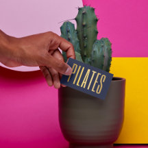 elegant navy blue and gold pilates