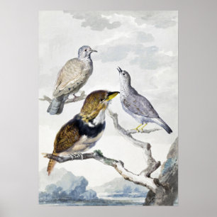 Elegant Neutral Tone Birds on Branch Art Poster