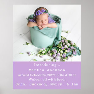 Elegant Newborn Girl Birth Nursery New Baby Photo  Poster