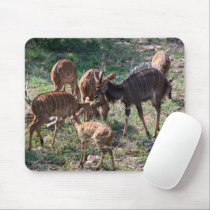 Elegant Nyala Antelope Wildlife Photo Mouse Mat