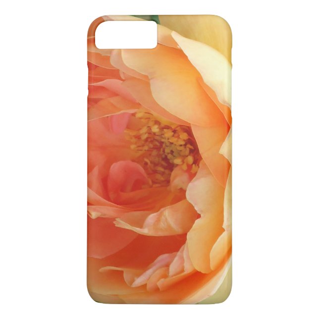 Elegant Orange Blush Rose Case-Mate iPhone Case (Back)