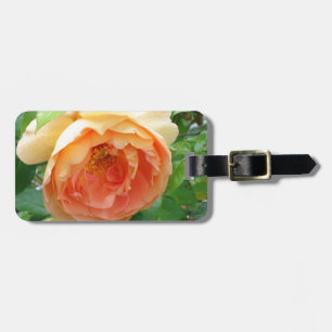 Elegant Orange Blush Rose Luggage Tag