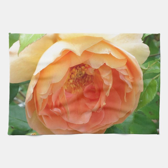 Elegant Orange Blush Rose Tea Towel (Horizontal)