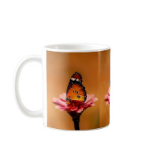 Elegant Orange Butterfly on Pink Flower
