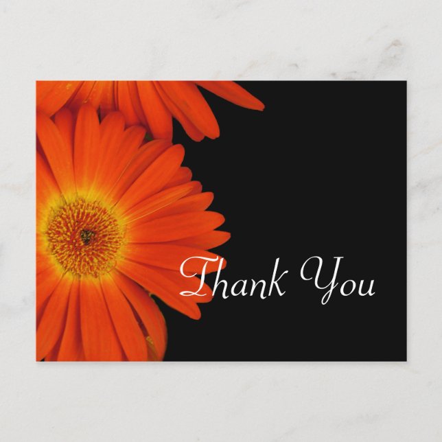 Elegant orange gerbera daisy flowers wedding favou postcard (Front)