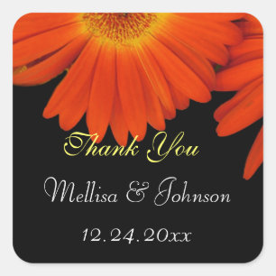 Elegant orange gerbera daisy flowers wedding favou square sticker