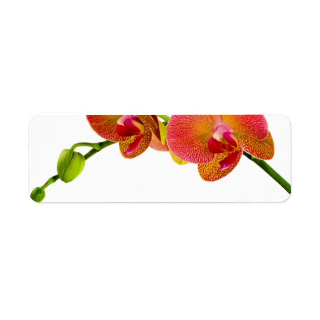 Elegant Orange Orchids Custom Blank Labels (Front)