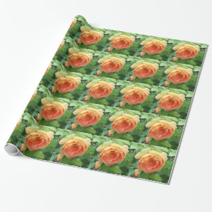 Elegant Orange Roses Wrapping Paper