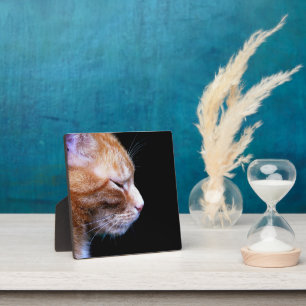 Elegant Orange Tabby Cat Wrapping Paper — Dramatic Plaque