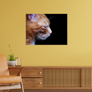 Elegant Orange Tabby Cat Wrapping Paper — Dramatic Poster