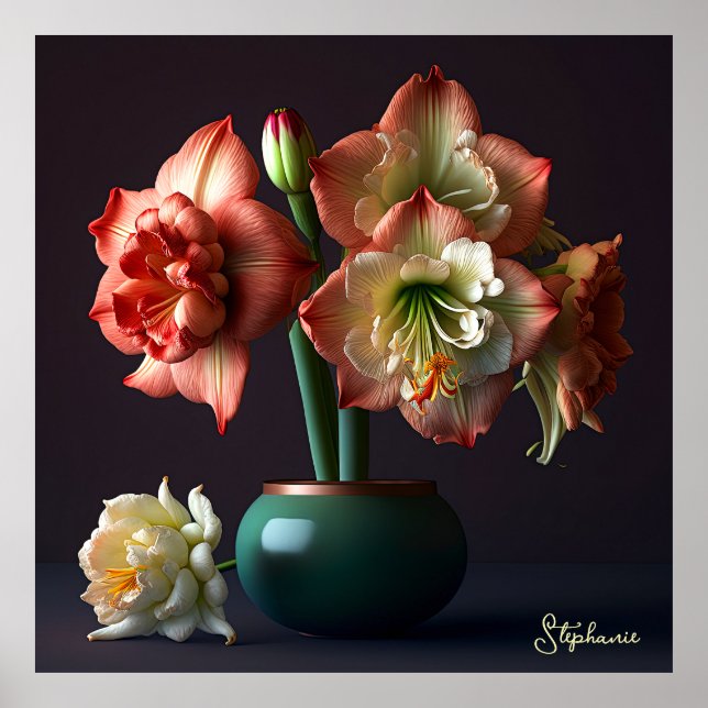 Elegant Orange White Amaryllis Flower Poster (Front)