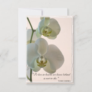 Elegant Orchid Thank You for Your Sympathy Note Card