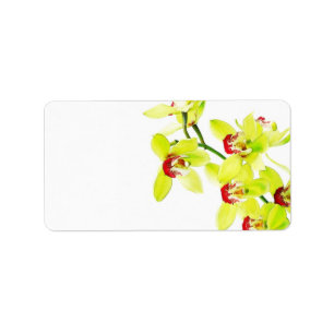 Elegant Orchid Wedding or General Blank Label