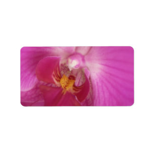 Elegant Orchid Wedding or General Blank Label