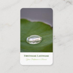 Elegant organic water lily clear raindrop style business card