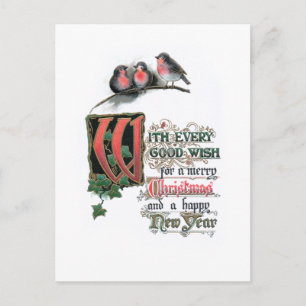 Elegant Ornate Christmas Text with Robins & Ivy Postcard