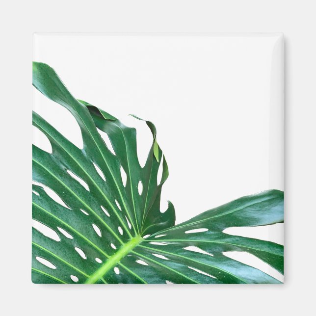 Elegant Palm Leaf tropical jungle rainforest leaf Magnet (Front)