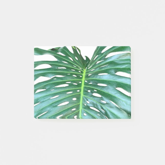 Elegant Palm Leaf tropical jungle rainforest leaf Post-it Notes (Front)