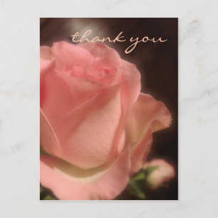 Elegant Peach Rose - Thank You Postcard