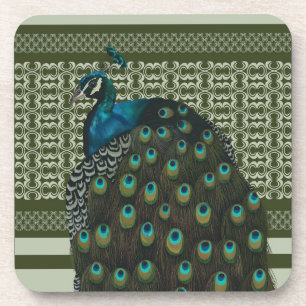 Elegant Peacock Bird Bird Lovers Coaster