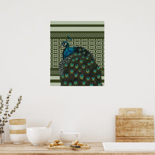 Elegant Peacock Bird Bird Lovers Poster